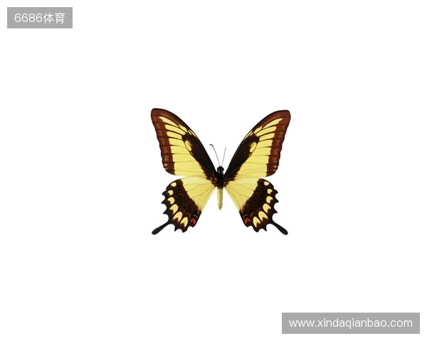 破茧成蝶：Legacy如何登顶南美、跻身世界顶尖行列