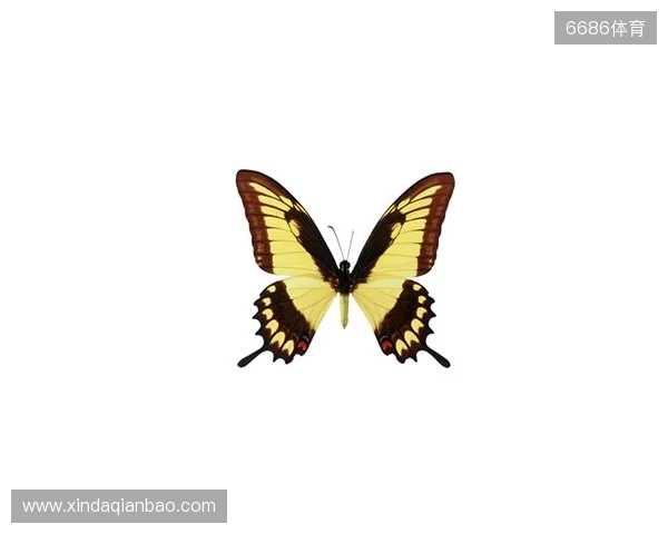 破茧成蝶:Legacy如何登顶南美、跻身世界顶尖行列